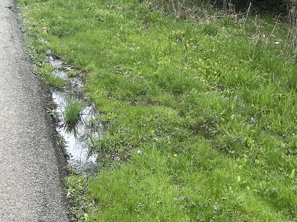 saturated soil and puddle